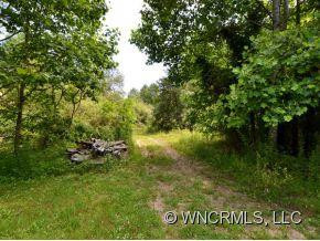 1136 NORTH TURKEY CREEK ROAD - Photo 9