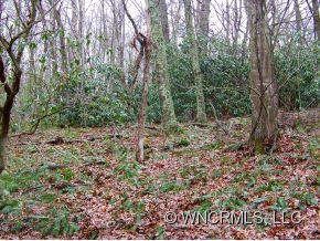 3201 Hyder Mountain Road - Photo 4