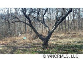 55 Reynolds School Rd - Photo 6