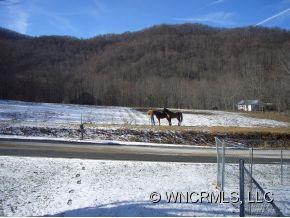 438 HAW BRANCH ROAD - Photo 23
