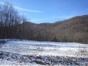 438 HAW BRANCH ROAD - Photo 8