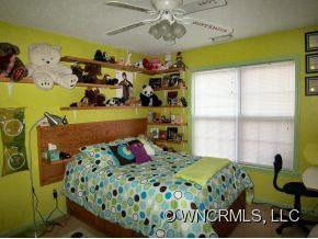 56 Morning Mist Road - Photo 11