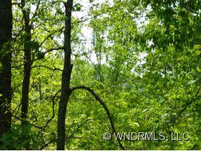 505 Burnside Trail - Photo 23