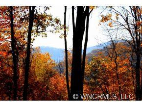 448 Flame Azalea Lane - Photo 2