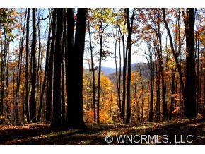 448 Flame Azalea Lane - Photo 11