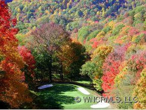 448 Flame Azalea Lane - Photo 16