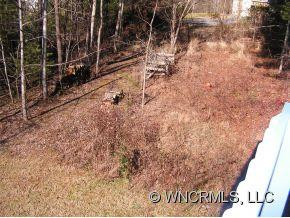 101 Pine Forest - Photo 21