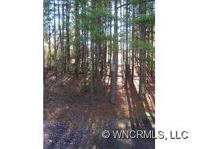 101 Pine Forest - Photo 22