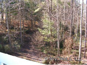 101 Pine Forest - Photo 7