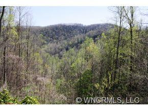 750 Polly's Mountain Road - Photo 3