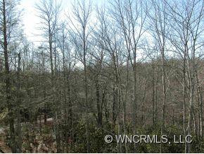 118 Rough Bark Road - Photo 8