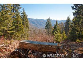 635 Spruce Patch Lane - Photo 17