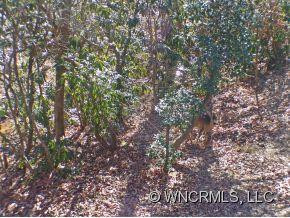 156 S Setsi Lane - Photo 12