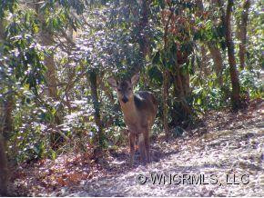 156 S Setsi Lane - Photo 15