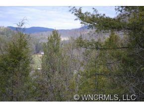 110 Guntertown Rd. - Photo 21