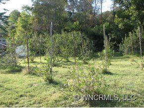 11 Hominy Creek Rd. - Photo 16