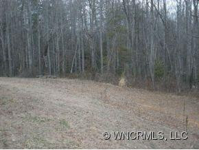 3 HOSTA RIDGE WAY - Photo 2
