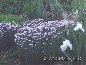 24 FAIRWAY VIEW DRIVE - Photo 24