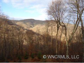 86 Bee Tree Lane - Photo 2