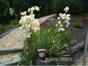 44 SHADOW RIDGE DRIVE - Photo 5