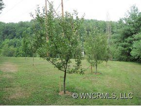 161 Kennedy Road - Photo 2