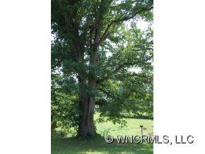 60 Brevard Road - Photo 11