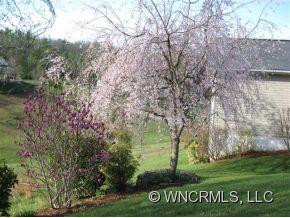 141 Ridge Brook Drive - Photo 23
