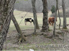 216 PLANTERS CREEK ROAD - Photo 22