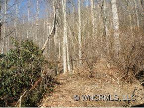 417 Terry's Gap Road - Photo 13