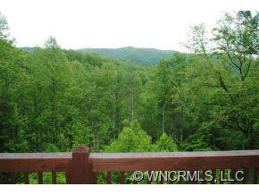 267 Appaloosa Trail - Photo 3