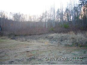 87 Hookers Gap Rd. - Photo 6