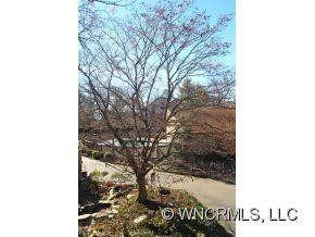 75 Maple Ridge Lane - Photo 11