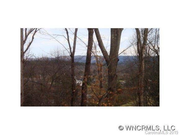 161 Tree Haven - Photo 10