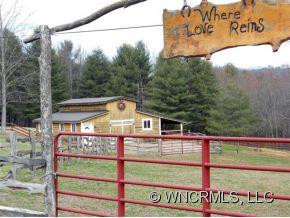 856 Big Willow Road - Photo 2