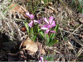 836 NORTH FORK ROAD - Photo 9