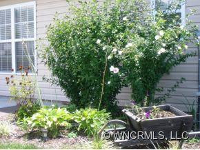 302 Meadow Pathway Drive - Photo 17