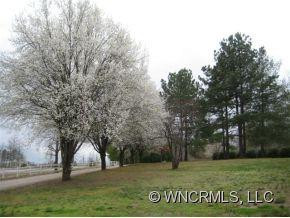 690 Hooper Creek Road - Photo 18