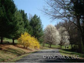 26 HORSESHOE TRAIL - Photo 22