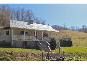4876 Paint Fork Road - Photo 2