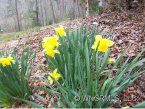 139 Mine Mountain Drive - Photo 9