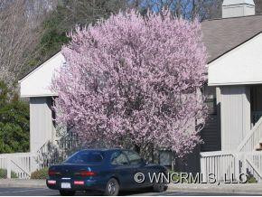 805 Abbey Circle - Photo 11