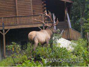 96 Trails End Lane - Photo 21