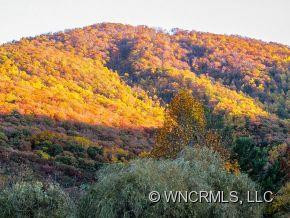 197 Mountain Lily Ridge - Photo 17