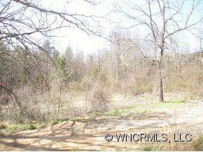 1036 BIG HUNGRY ROAD - Photo 9