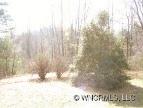 1036 BIG HUNGRY ROAD - Photo 10