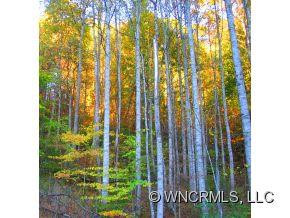 2648-700 Crooked Creek Road - Photo 8