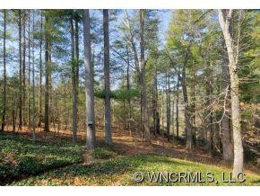 204 Teaberry Lane - Photo 23