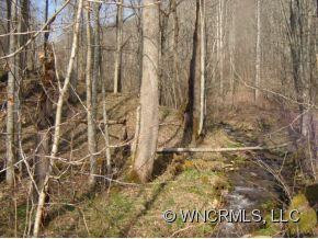 584 Peters Cove Road - Photo 2
