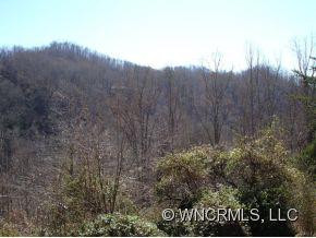 282 Rascal Ridge - Photo 2