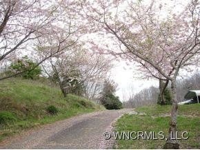 282 Rascal Ridge - Photo 5